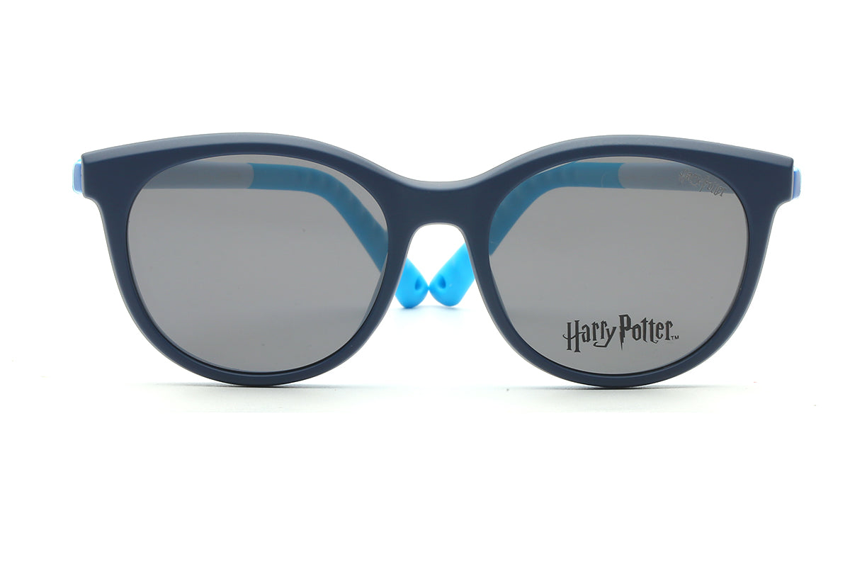 Modelo Expecto Patronum