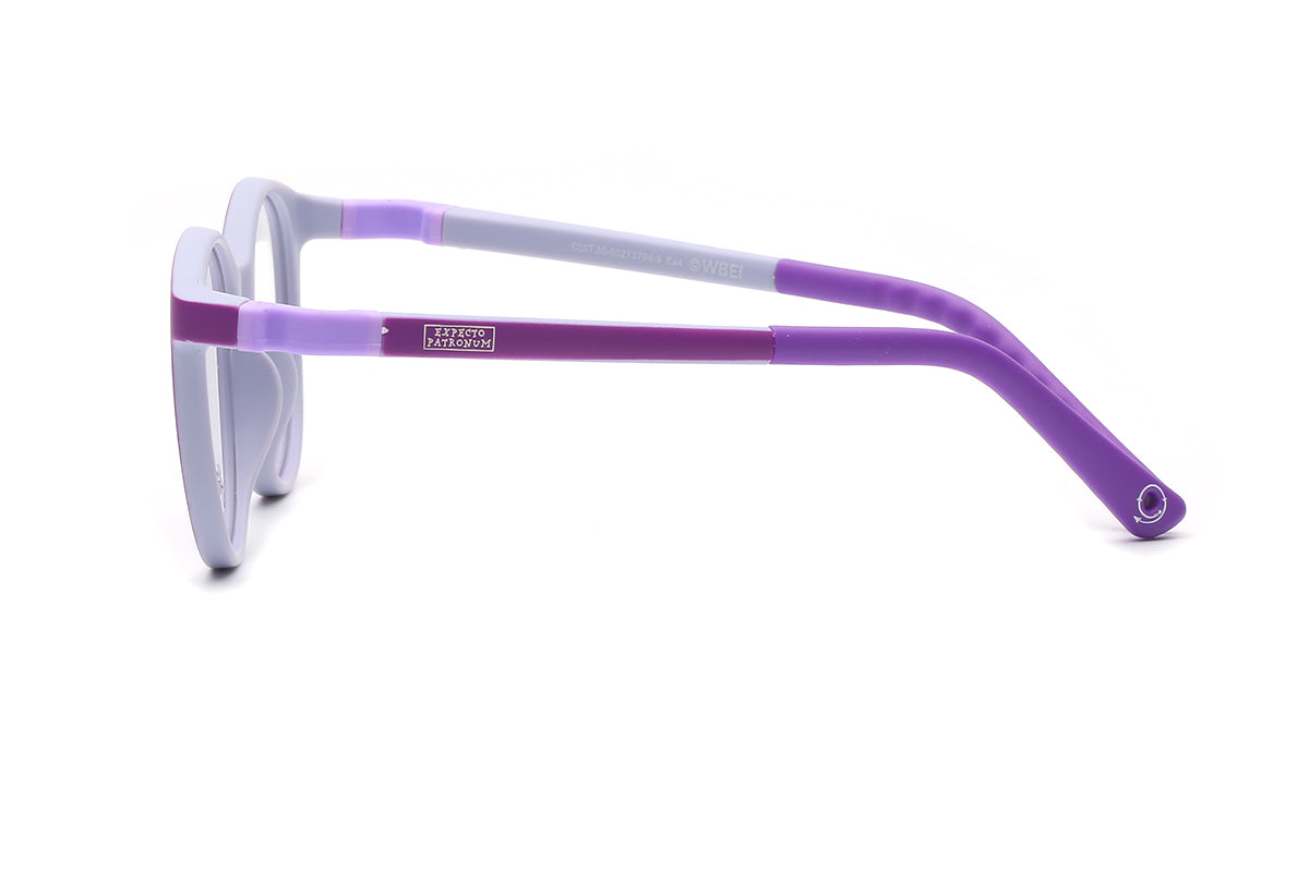 Modelo Expecto Patronum