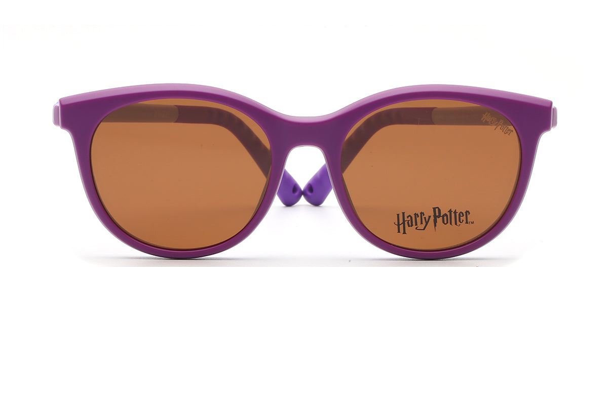 Modelo Expecto Patronum