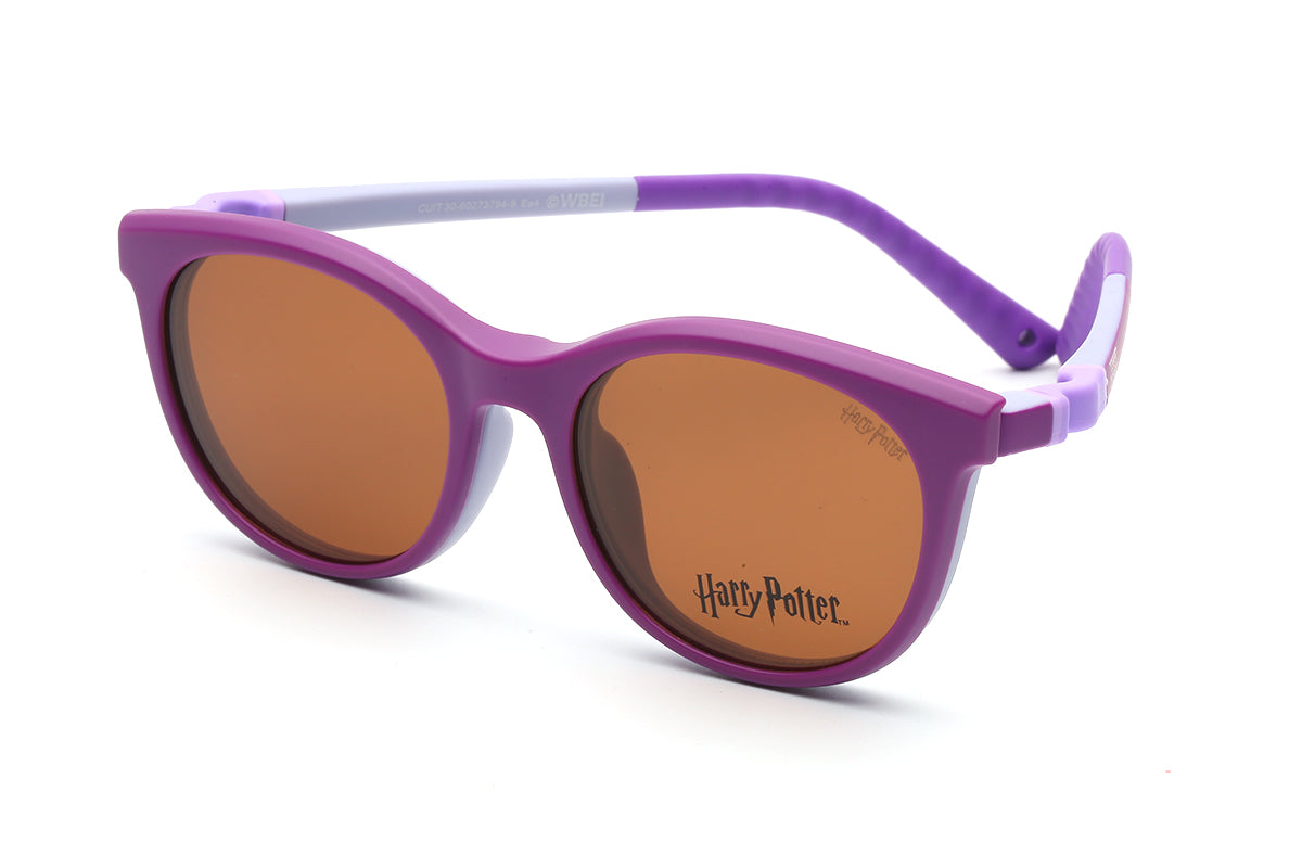 Modelo Expecto Patronum