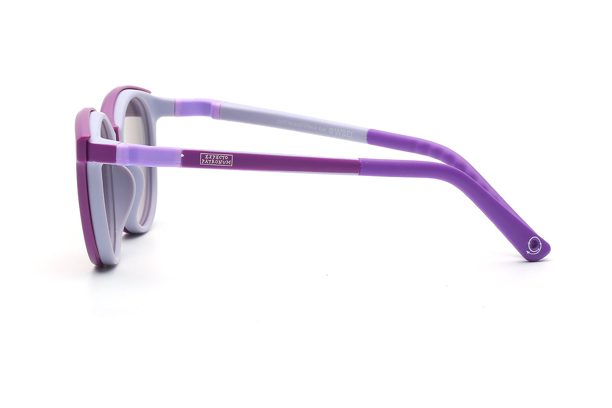 Modelo Expecto Patronum