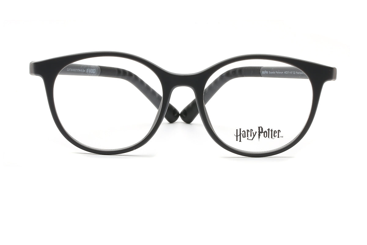 Modelo Expecto Patronum