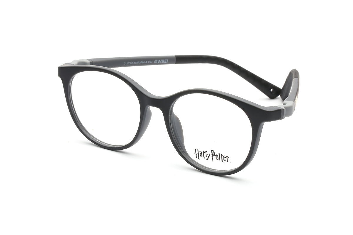 Modelo Expecto Patronum