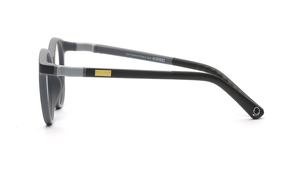 Modelo Expecto Patronum