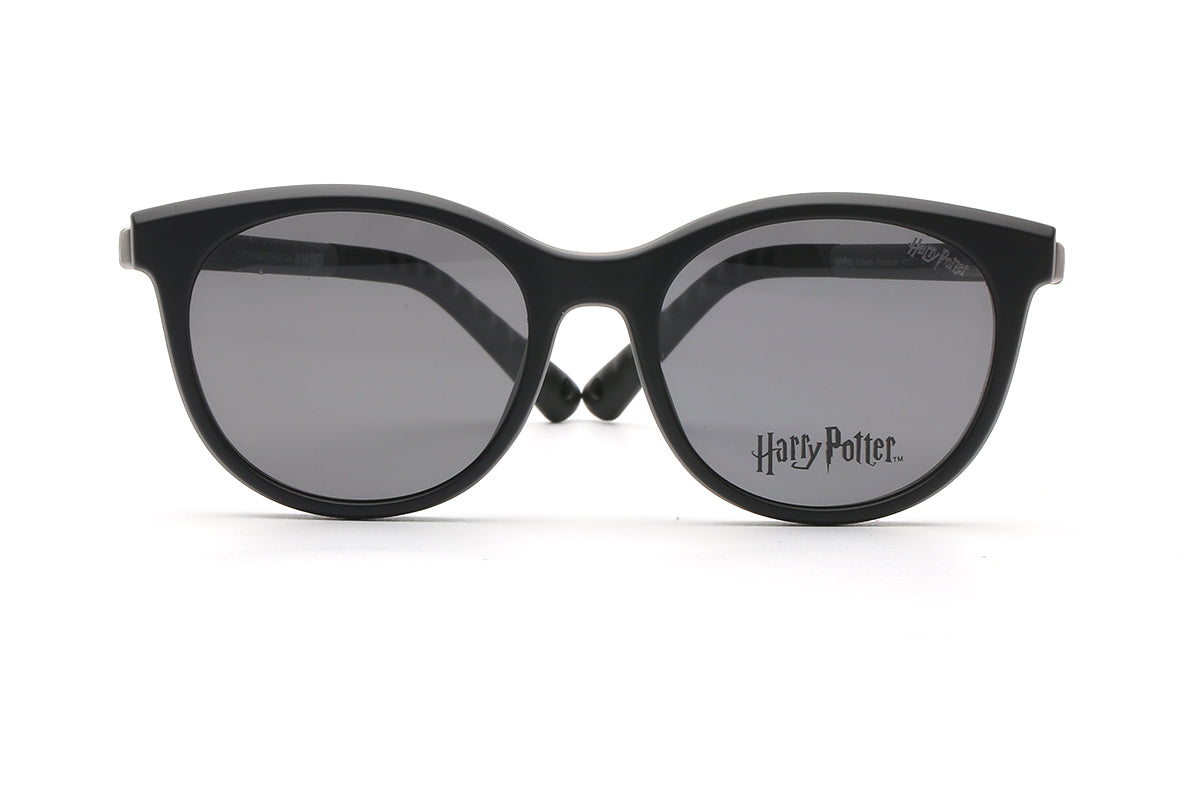 Modelo Expecto Patronum