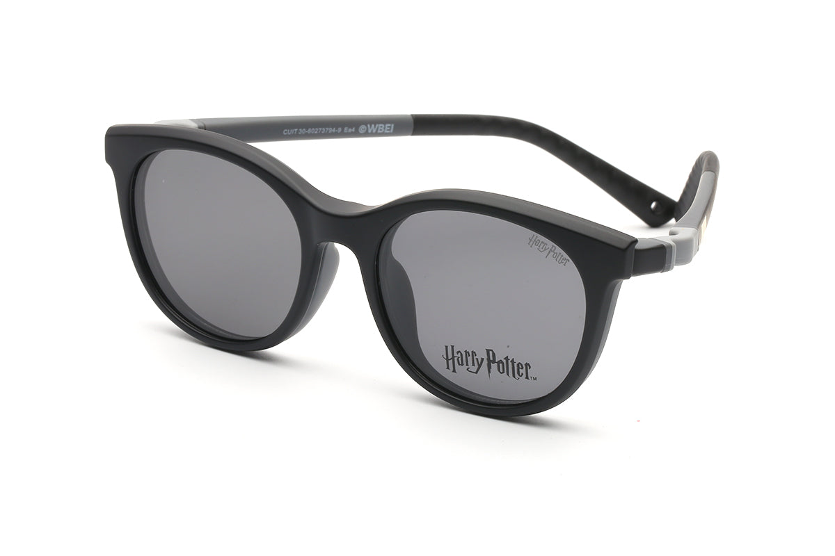 Modelo Expecto Patronum