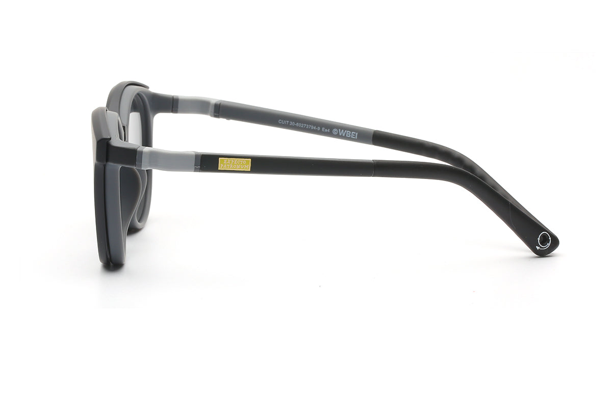 Modelo Expecto Patronum