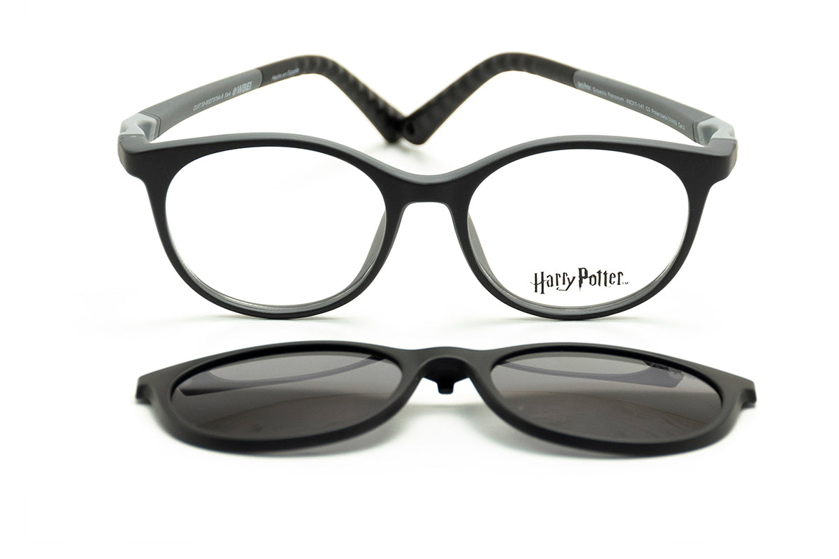 Modelo Expecto Patronum