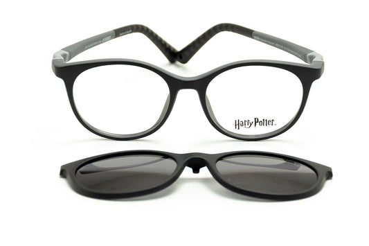 Modelo Expecto Patronum