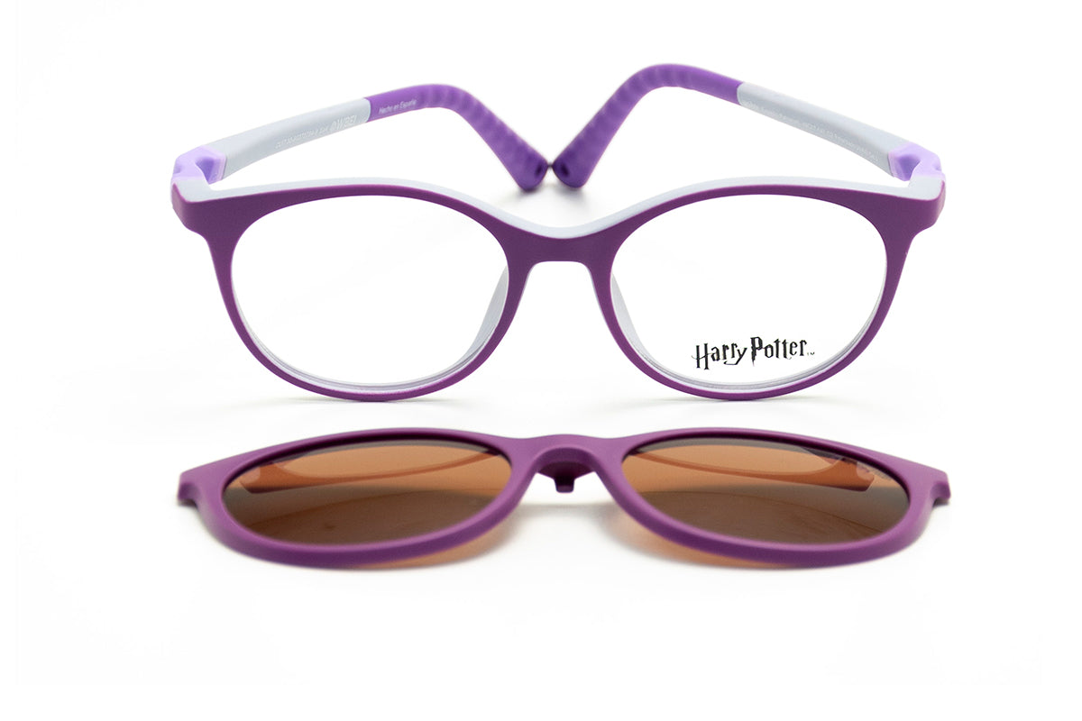 Modelo Expecto Patronum