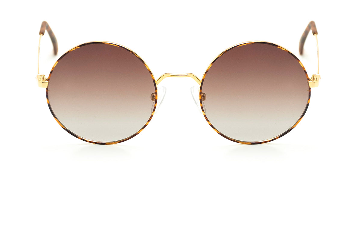 Modelo Wizard Small Sol