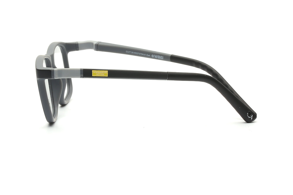 Modelo Wingardium Leviosa